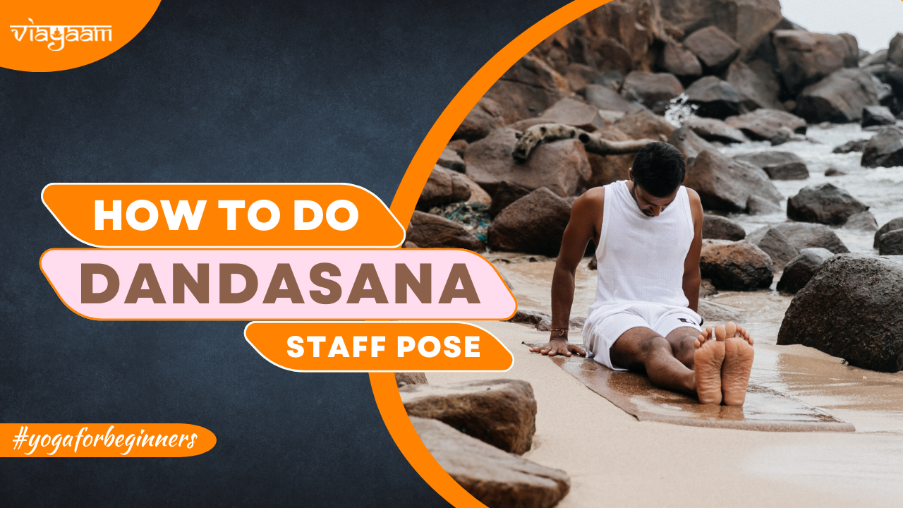 How To Do Staff Pose ( Dandasana ) Step By Step